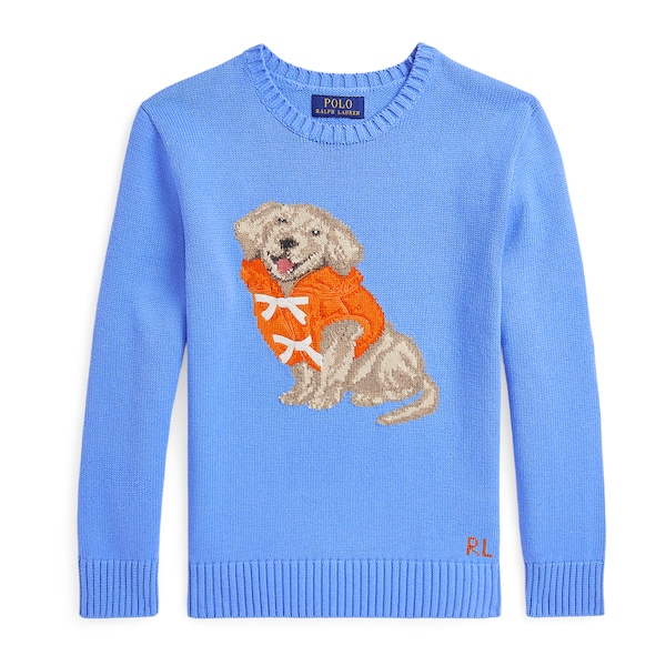 boy blue Dog-Intarsia Sweater
